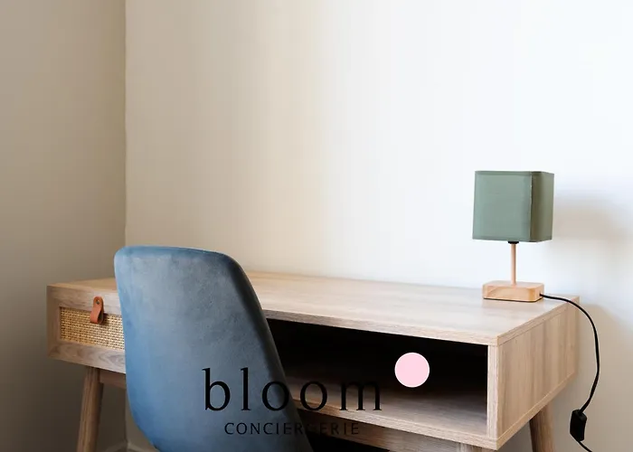 De Standing Le Drouin G Апартаменты Нанси